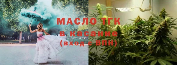 индика Надым