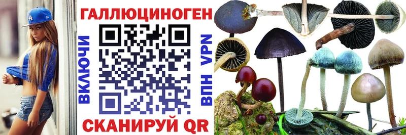 Псилоцибиновые грибы ЛСД  Устюжна 